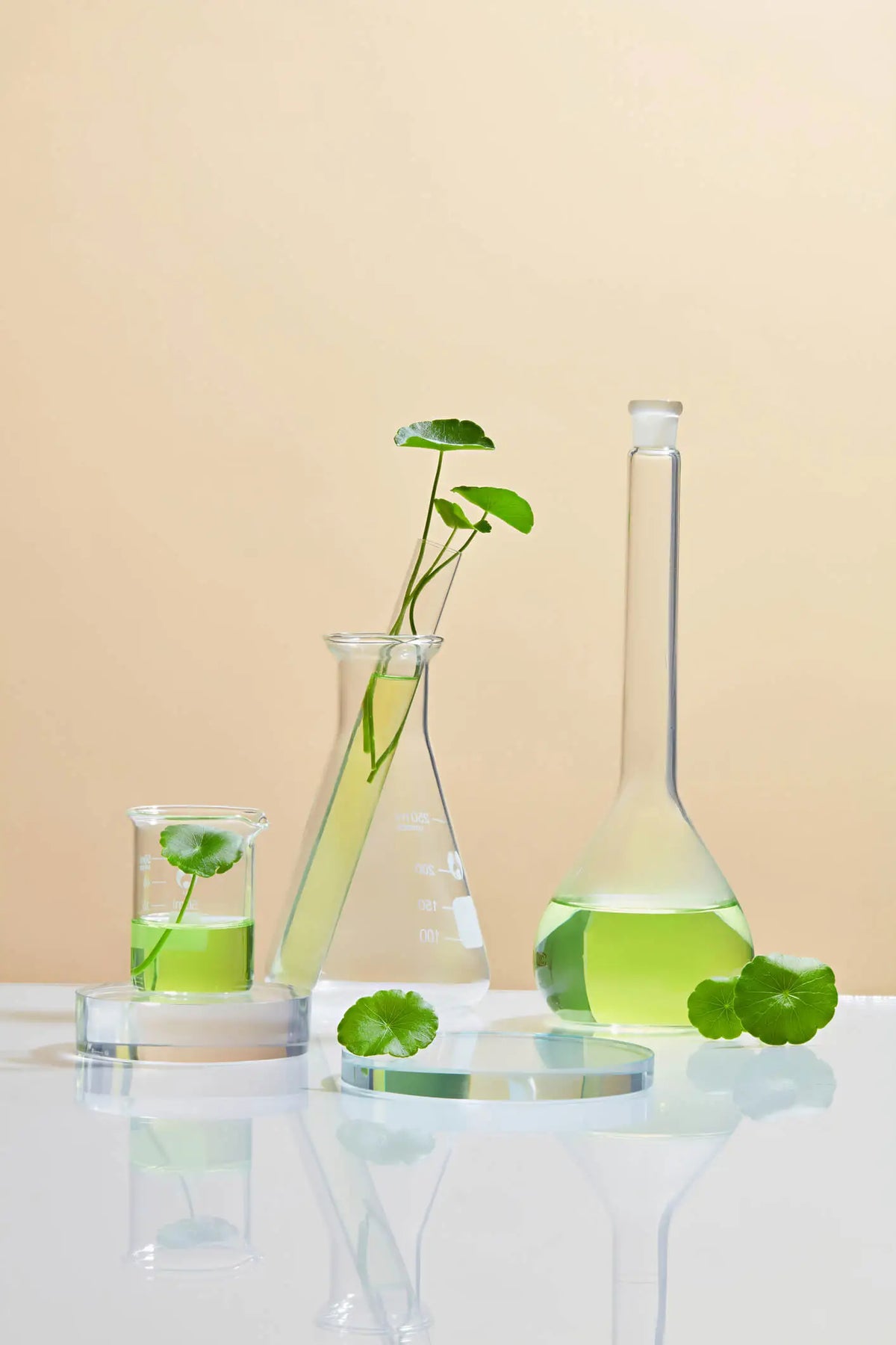 Cosmetic_lab_gotu_kola