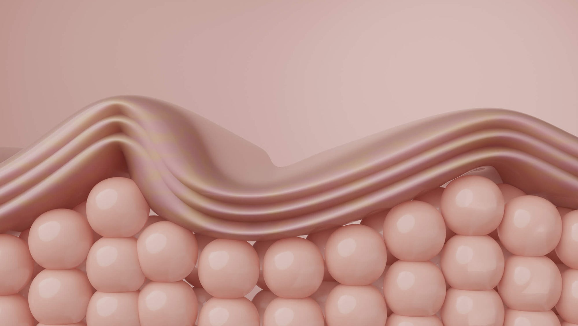 skin under microscope